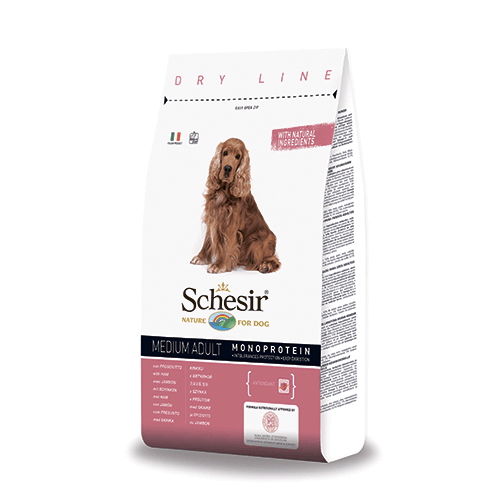 Schesir ����� ����� ���� � �������� ��� ����� ������� �����, 12 ��