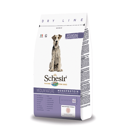 Schesir ����� ����� ���� � ������� ��� ����� ������� ����� ���������� ��������, 12 ��