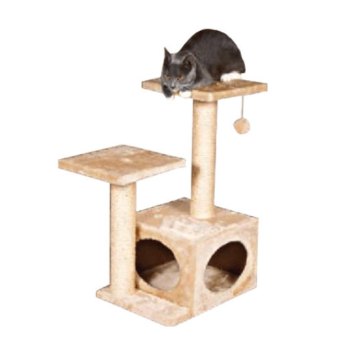 43771 TRIXIE ������ ����� ��� ����� *Valencia*, �������