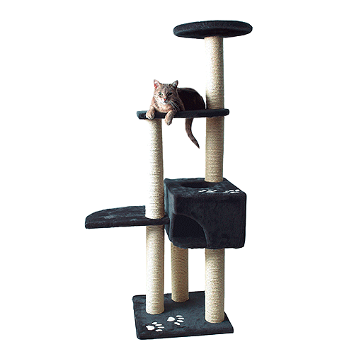 43867 TRIXIE ������ ����� ��� ����� *Alicante*, ��������