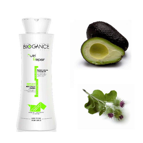 Biogan�� Nutri Repair Shampoo ������� ��� - ������� *��������� ��������������* ��� �������� � ����������������� ������ � ������� ��������, 250 ��