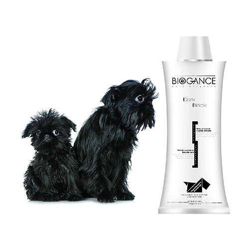 Biogan�� Dark Black Shampoo ������� ��� - ������� *������ �����* ��� ����� � ����� � ������ (�����, ������) �������, 250 ��