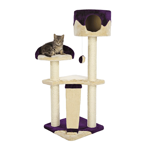 44831 TRIXIE ������ ����� ��� ����� *Carla*, �������|����������