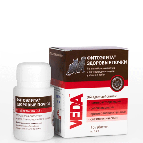 VEDA ���� ��������� �������� ����� ��� ����� � �����