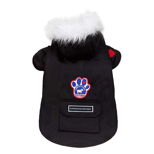 Canada Pooch ������ ������ *�������* ��� �����, ���� ������, ������ 10
