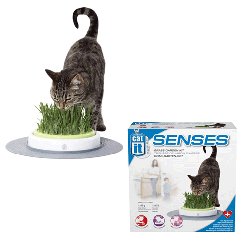 50755 Hagen Catit Design Senses Grass Garden Kit ����� ��� � ������� ��� �����