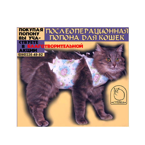 ������ ����������������� ��� �����