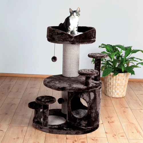 44930 TRIXIE ������ �������� ��� ����� *Emil Senior Cat*, ����������