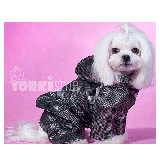 YorkiStyle ���������� �������� ��������� ��� �����, ������ S, �������