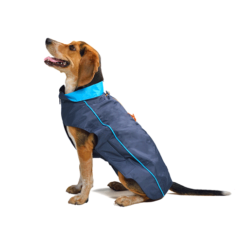 107004 Dog Gone Smart Nanobraker ��� ��� ����� ���� ����-�������� � �������� ���������� ��� �����, ���� �����, ������ 16