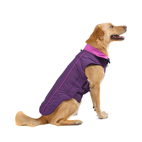 106694 Dog Gone Smart Trailblazer ��� ��� ����� ���� ������ ������ ��� �����, ���� ���������� � ���������, ������ 25,4 ��