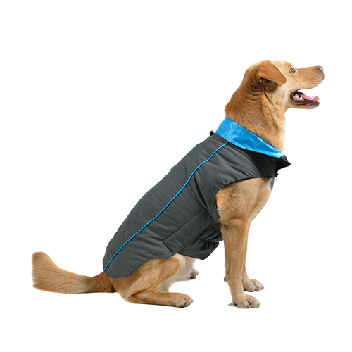 106830 Dog Gone Smart Trailblazer ��� ��� ����� ���� ������ ������ ��� �����, ���� ����� � ���������, ������ 50,8 ��