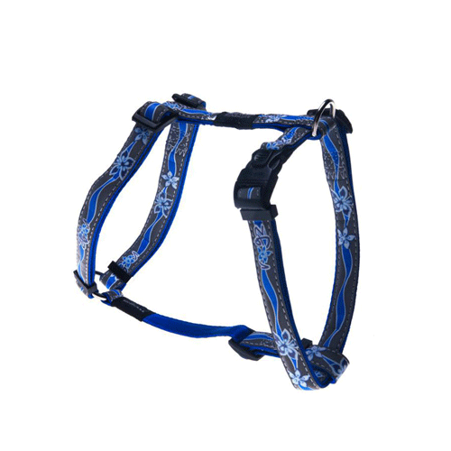 SJ55B ROGZ Reflective Venus Large ���� ������ ��� ����� ������� �����, ���� �����