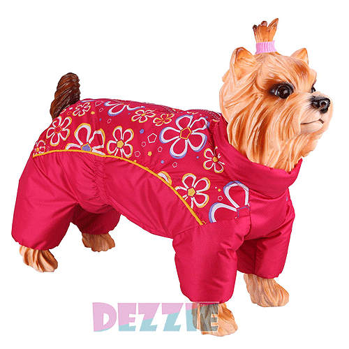 5635471 DEZZIE ����� ����������-�������� *���� ������� ���� ������*, ��� ���������, �� ������, ���� �������, �������