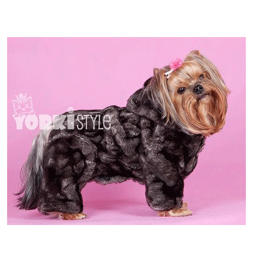 YorkiStyle ���������� ����������-����� ��������� ������ ��� �����, ������ L, �������