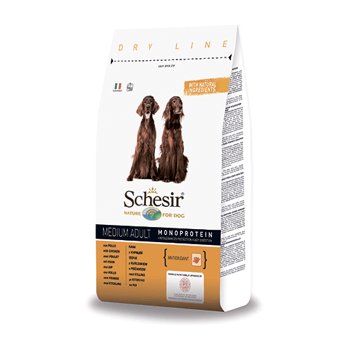 Schesir ����� ����� ���� � ������� ��� ����� ������� �����, 12 ��