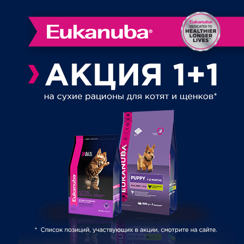 �����: ��� ������� Eukanuba Puppy ��� Kitten - ��� ���� �������� � �������