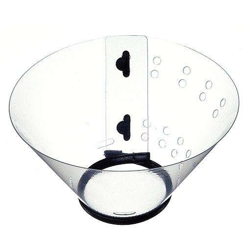 D099|E CAMON ����� �������� �������� � ������ �����, ������ 35-45 �� (20 ��)