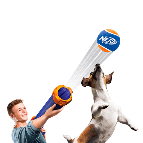 29940 Nerf Dog Tennis Ball ���� ������� ��� ���� � �������, 50 ��