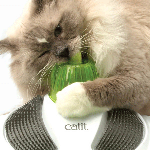 43153W Hagen Catit Senses 2.0 ����� ��������� �������� ��� �����